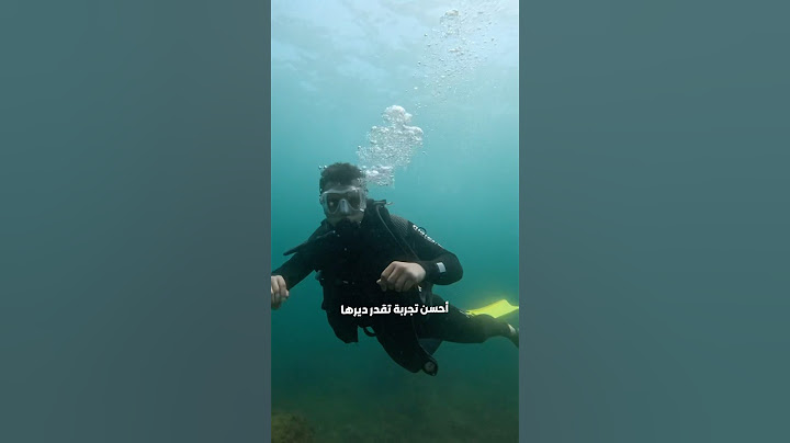 تجربة الغطس ، اكتشاف سحر الغطس لأول مرة 🤿💙
