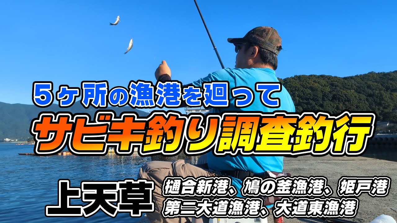 【上天草のサビキ釣り調査】５つの漁港を廻って何が釣れるかやってみた！