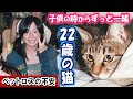 【共に歩んで22年】ペットロスの悲しみに備えて・・・