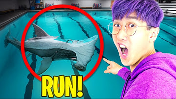 SWIMMING IN A *SHARK* FILLED POOL...!? (SHARKS AND MINNOWS Full Game)