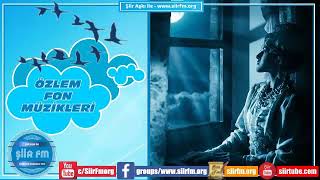 Özlem Fon Müzikleri - Dost İçindir