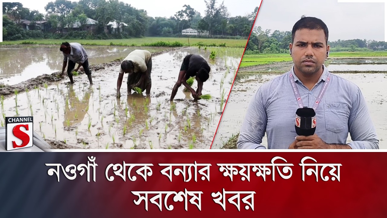নওগাঁ থেকে বন্যার ক্ষয়ক্ষতি নিয়ে সবশেষ খবর | Channel S News