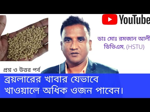 ভিডিও: ব্রয়লারদের কি রাতে খাওয়া উচিত?