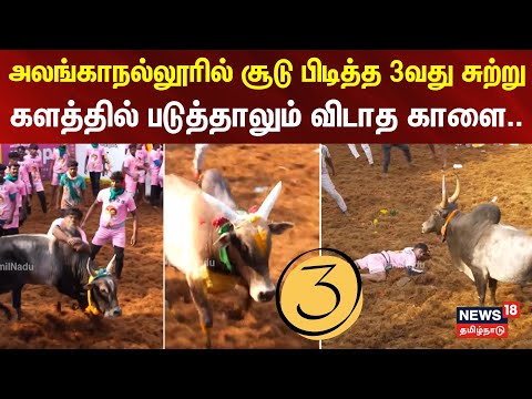 Alanganallur Jallikattu | Round 3 | அலங்காநல்லூரில் சூடு பிடித்த 3வது சுற்று | N18V