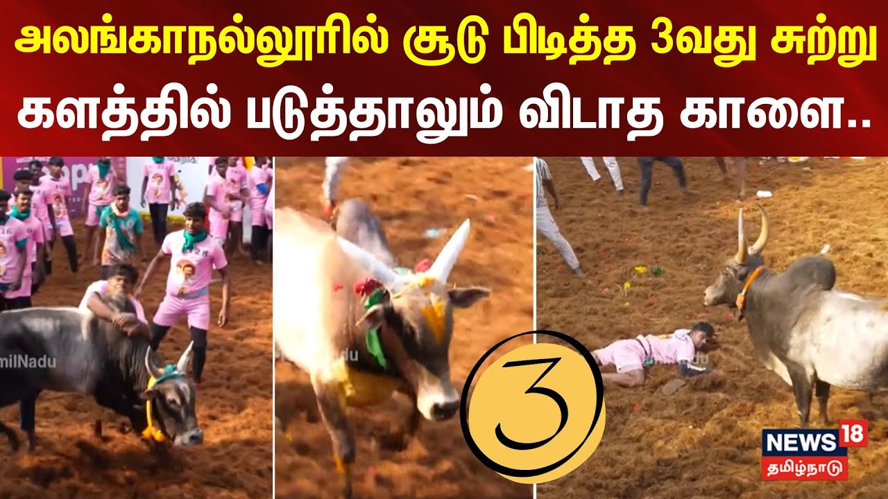 Alanganallur Jallikattu | Round 3 | அலங்காநல்லூரில் சூடு பிடித்த 3வது சுற்று | N18V