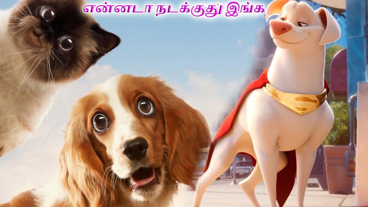 என்னடா நடக்குது இங்க / தமிழ் விளக்கம் / TAMIL DUBBED/ VOICE OVER/ EXTREME TAMIL REVIEW