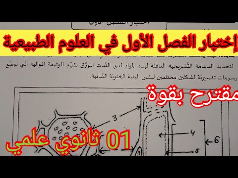 إختبار الفصل الأول في العلوم الطبيعية السنة الأولى ثانوي علمي 2024
