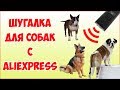 Ультразвуковой отпугиватель собак с Aliexpress / Обзор и тест