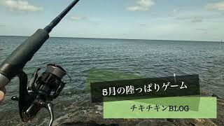 ［沖縄］5月の陸っぱりゲーム［ルアー釣り］