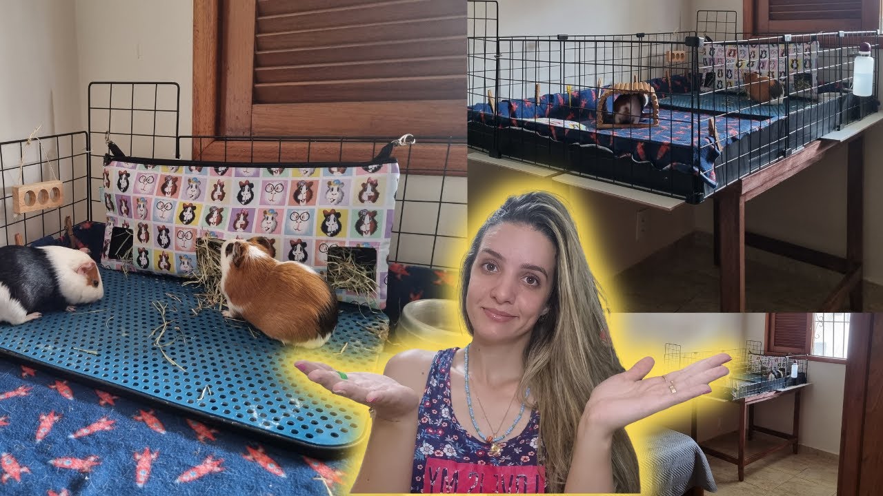 ROTINA COMPLETA: CERCADO SUSPENSO E HIGIENE SEMANAL DOS PORQUINHOS DA ÍNDIA!