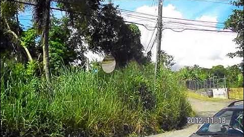 The Development Gap Organization