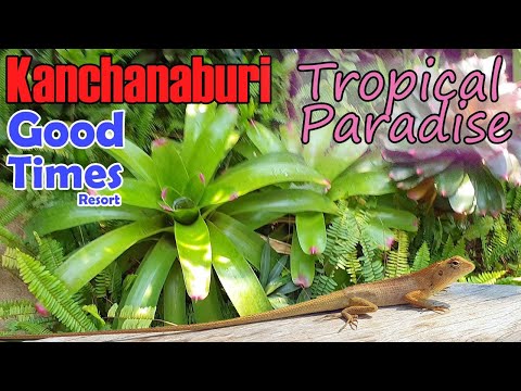 Thai Breakfast Buffet | Tropical Gardens | Good Times Resort Kanchanaburi | Thailand 2022