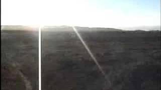 Channel Island Fox Release San Miguel 2006