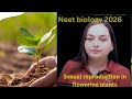 SEXUAL REPRODUCTION IN FLOWERING PLANTS 3