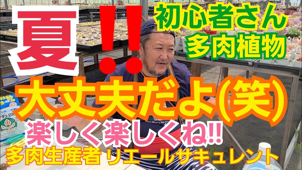 多肉植物 ガーデニング 多肉初心者 さん 夏 楽しく 楽しく するために 21年6月21日 Youtube