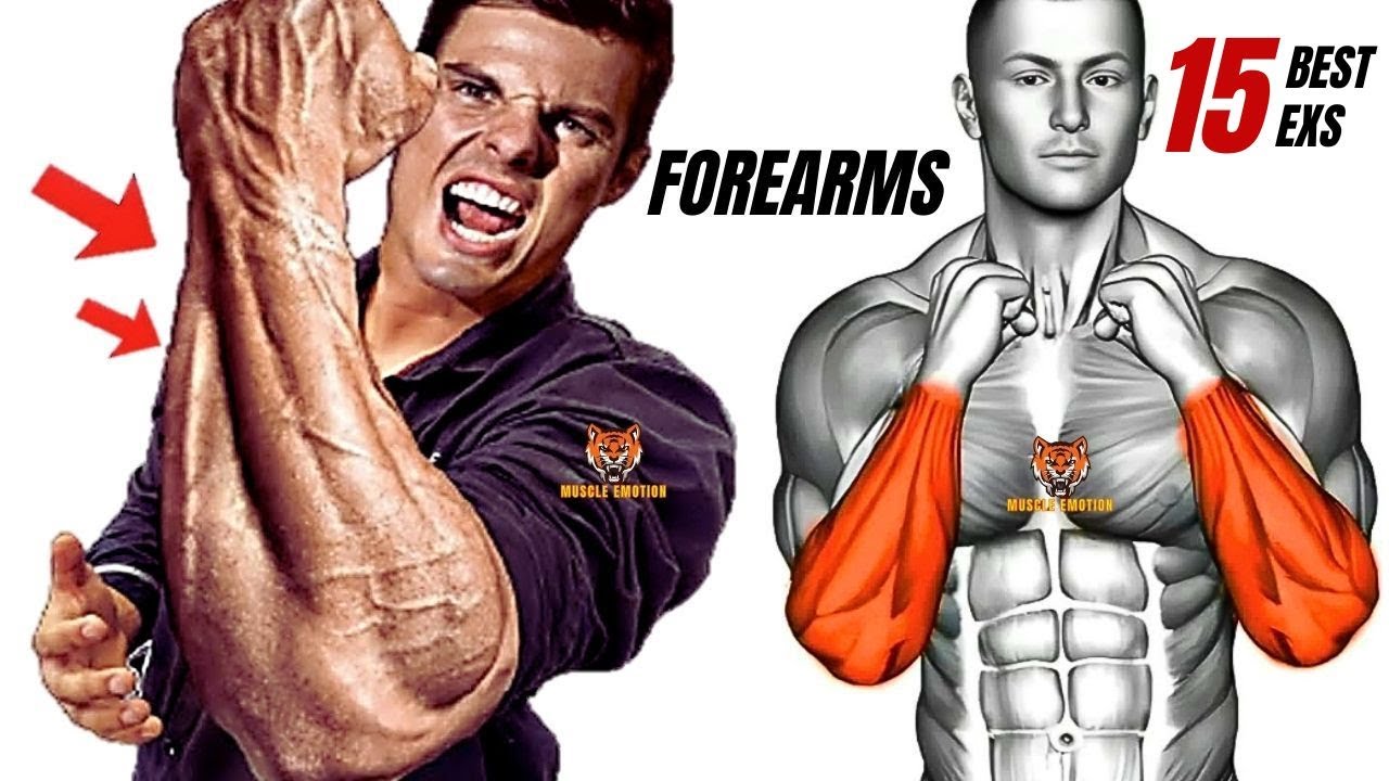 15 BEST Exercises for Bigger Forearms at Gym / HUGE FOREARMS - YouTube