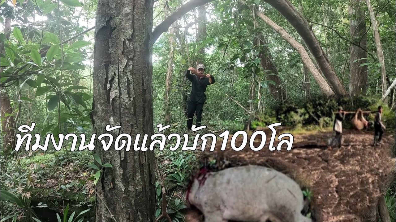 ทีมงานจัดแล้ว100โล15 สิงหาคม ค.ศ. 2025