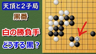 [Go] Two-stone game with Zenith's Go 9-dan screenshot 5