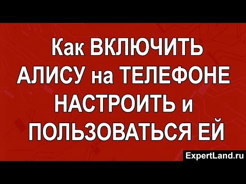 Как включить Алису на телефоне, как правильно настроить и пользоваться