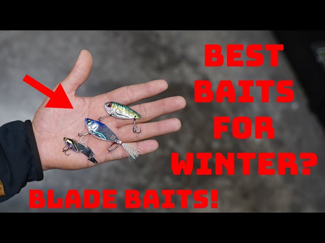 Are These The Best Winter Time Baits To Catch Bass? Blade Bait Breakdown 