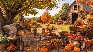 Cozy Fall Farm Ambience in the Countryside - Soft Piano for for Relaxation, Study & Slow Living screenshot 5