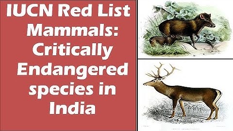 Mammals: Critically endangered species in India: IUCN Red list