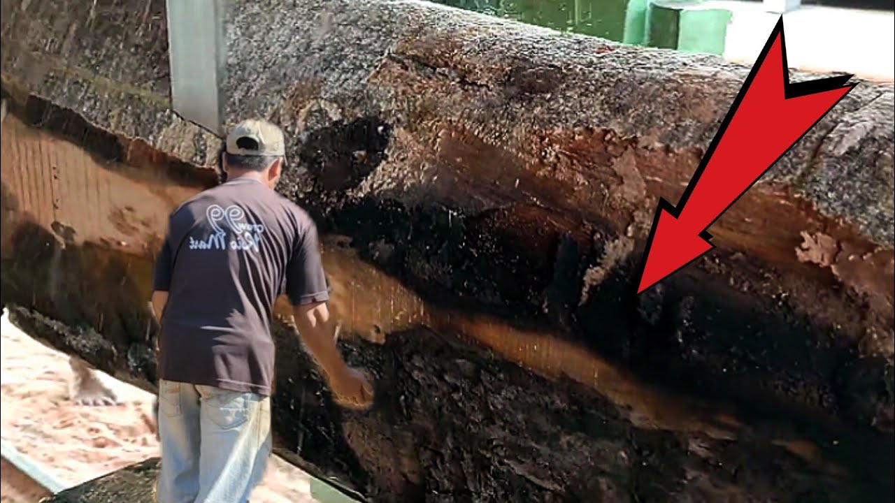 Fastest Skill Large Wood Sawmill Machine Working In Factory #1 - YouTube