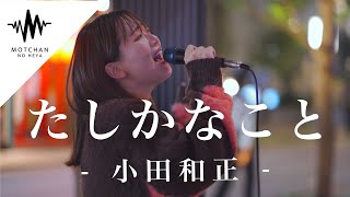 【涙腺崩壊】話題の歌声を聞いた瞬間、鳥肌が半端なかった!! たしかなこと / 小田和正Covered By  和佳奈