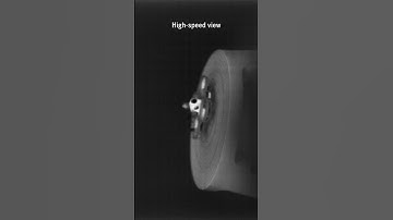 A new way to observe insects