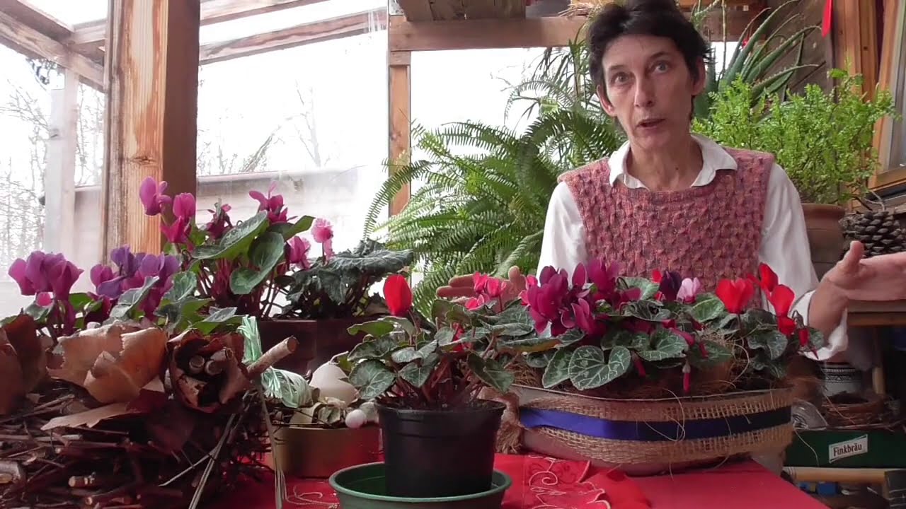 Preparazione del terreno