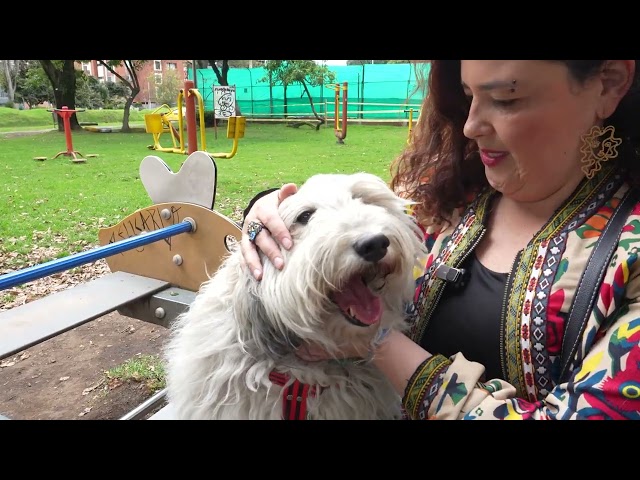 🐾❤️ Moscú llegó para cambiarle la vida a María Paula con su energía, ocurrencias y compañía incondicional. En este nuev