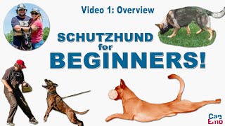 Online Schutzhund Training For Beginners: Overview