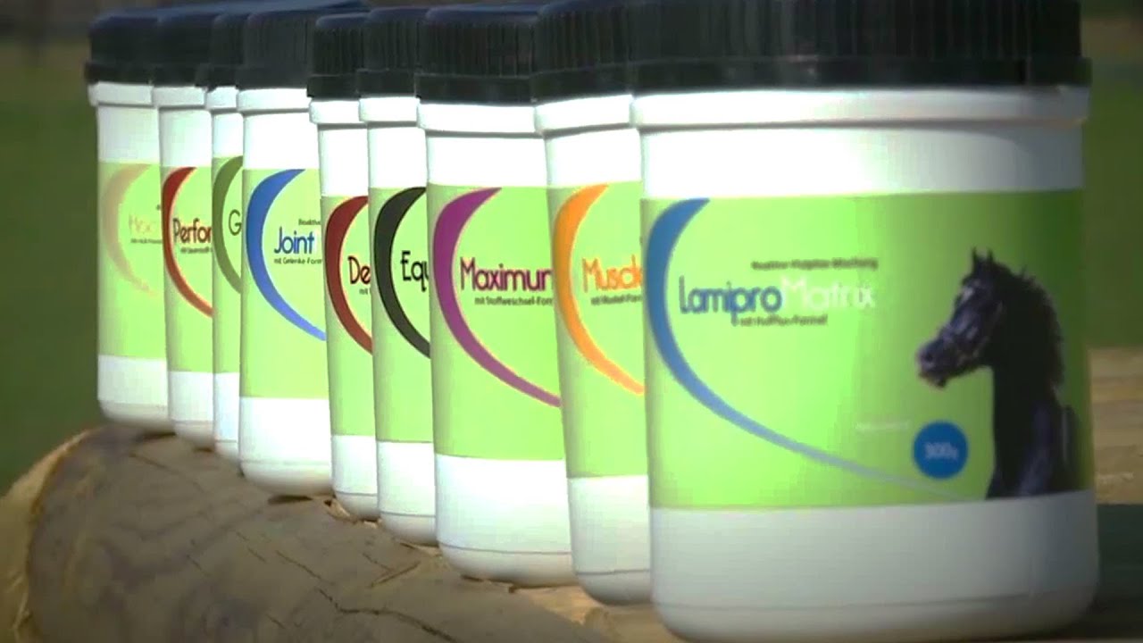 Mushrooms for Horses - CME horse feed