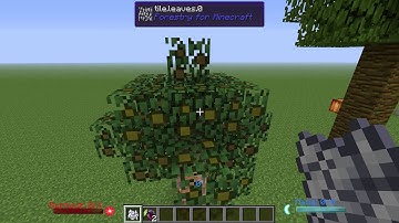 FTB Forestry Extra Trees Advanced Tutorial 1.6.4