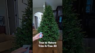 It's never to early for Christmas tree reviews!