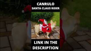 Costumes For Pets | Canrulo Santa Claus Rider #shorts screenshot 5