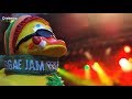 RASTA DUCK GOING TO THE REGGAE JAM FESTIVAL