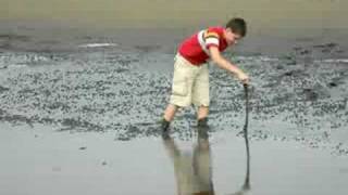 Stuck in the mud
