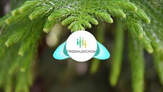 Andrew Langdon Aioli No Copyright Free Music