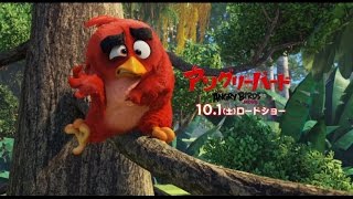 映画『アングリーバード』オヨヨヨ編