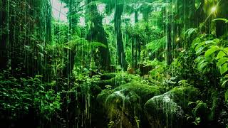 Rainforest Rain Sounds for Sleeping or Studying White Noise Rainstorm 5 Minute