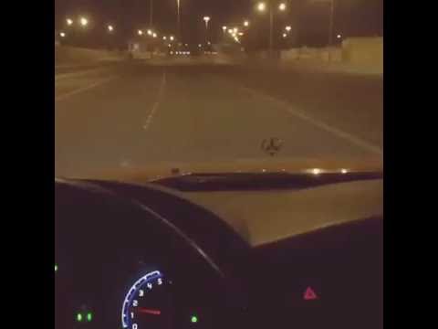 ولا شاف النيل فى أحضان الشجر ولا سمع مواويل فى ليالى القمر