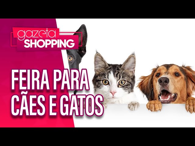 Feira para cães e gatos  | Pet South America | Gazeta Shopping Feira para cães e gatos  | Pet South America | Gazeta Shopping