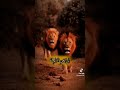 اغنية خياي ياحزام الظهر