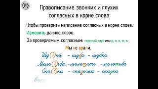 Правописание звонких и глухих согласных в корне слова Правописание звонких и глухих согласных в корне слова