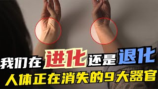 人类在进化还是退化？这些正在消失的器官，你的身体里还有吗？