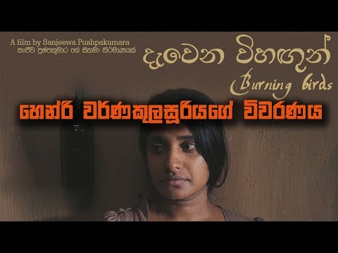 Niwahal TV | Close Up -01 | Burning Bird's | දැවෙන විහඟුන්