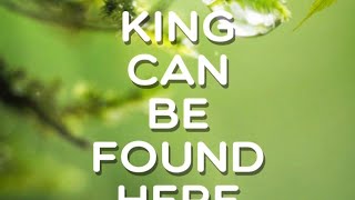 King can be found here, Level 60, Word Crush Answers.