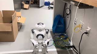 Gaze tracking and head nod test