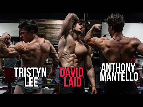 Muscle Matt Videos